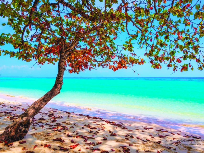 Ko Lanta: Koh Rok & Koh Haa Snorkelling Tour by Speedboat - A full day from Ko Lanta to Koh Haa and Koh Rok
