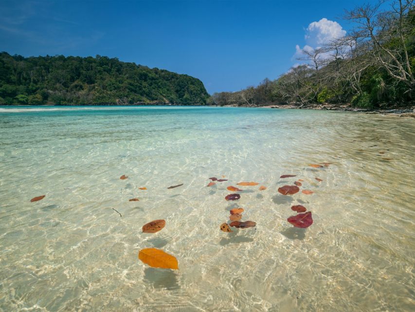 Ko Lanta: Koh Rok & Koh Haa Snorkelling Tour by Speedboat - Who will enjoy this trip most