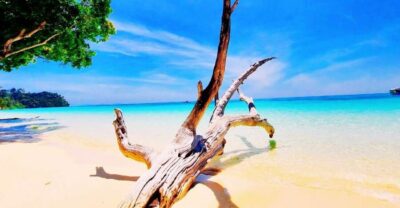 Koh Rok & Koh Haa Snorkelling Tour by Speedboat