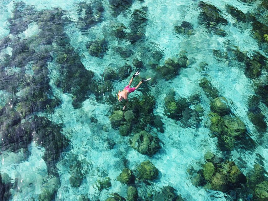 Ko Lanta: Koh Rok & Koh Haa Snorkelling Tour by Speedboat - What the $59 price really covers