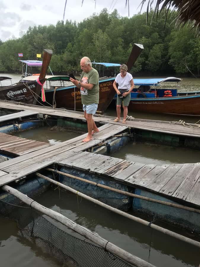 Ko Lanta: Mangrove Forest and Lanta Old Town with Lunch - The unclear village stop