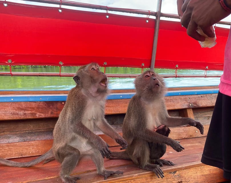 Ko Lanta: Mangrove Forest and Old Town Private Tour - Booking advice for a smoother visit