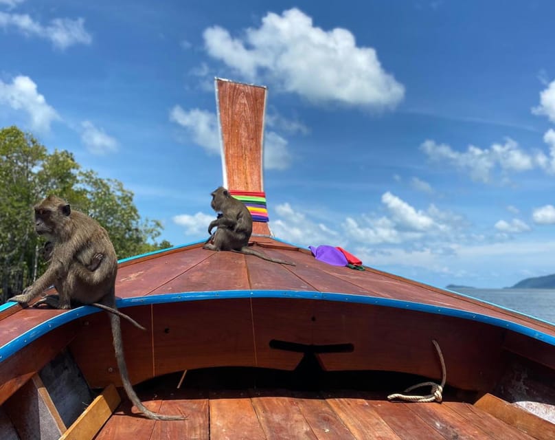 Ko Lanta: Mangrove Forest and Old Town Private Tour - Meeting the monkeys in the mangroves