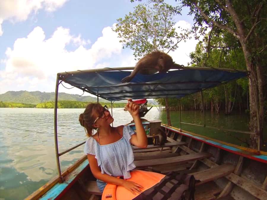 Ko Lanta: Mangrove Forest Boat Tour with Lunch or Dinner - Why the Tung Yee Peng mangroves are worth your time