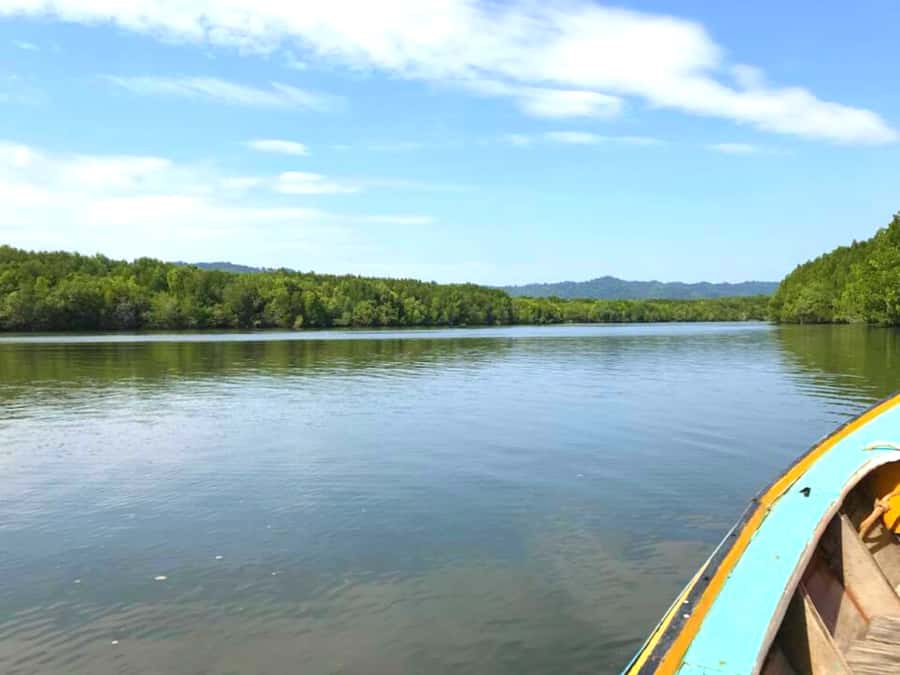 Ko Lanta: Mangrove Forest Boat Tour with Lunch or Dinner - Small-group comfort and practical drawbacks