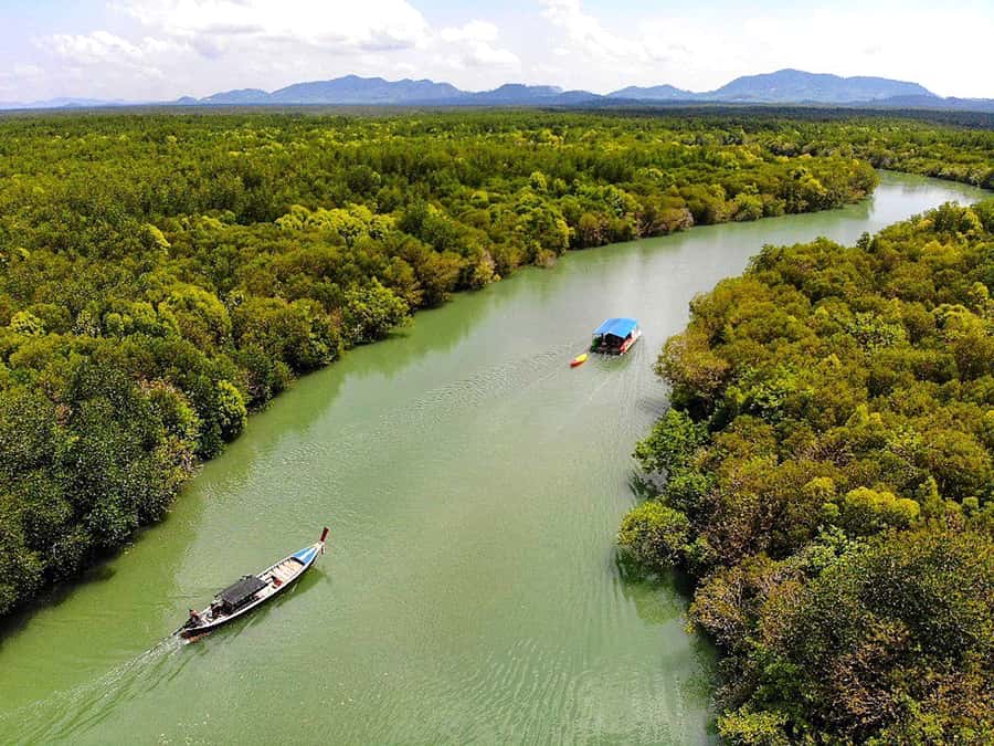 Ko Lanta: Mangrove Forest Boat Tour with Lunch or Dinner - Getting to the pier from Ko Lanta’s beaches