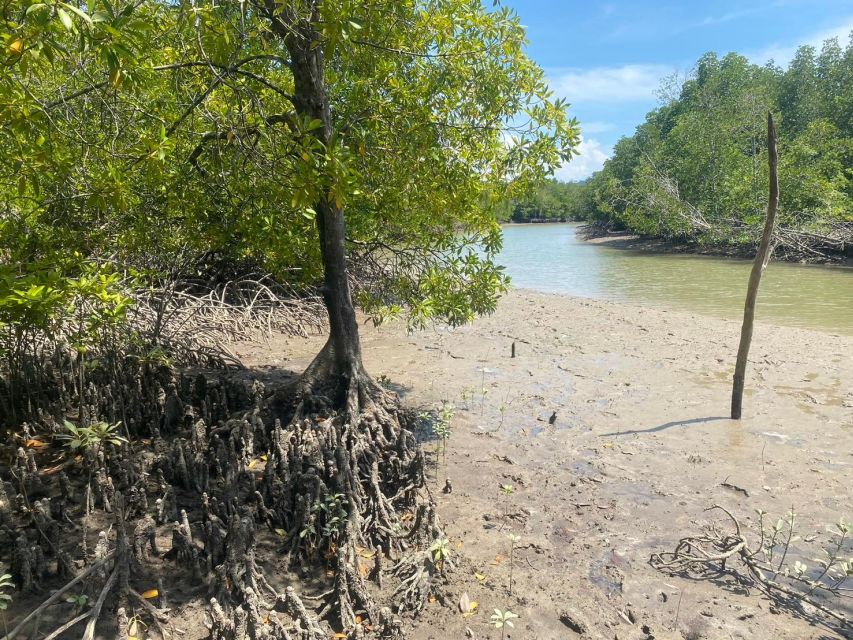 Ko Lanta: Mangrove Kayaking, Ko Talabeng, & Skull Island - Ko Talabeng’s cliffs, caves, and quiet water