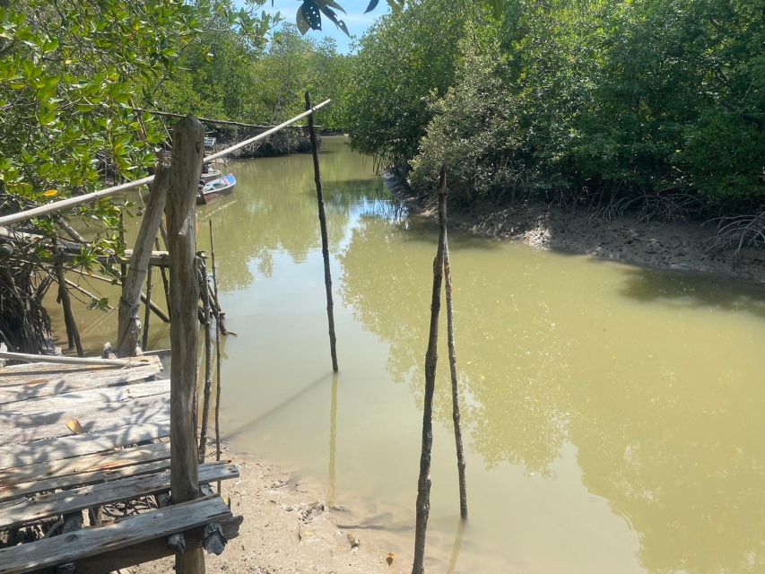 Ko Lanta: Mangrove Kayaking, Ko Talabeng, & Skull Island - Wildlife and the value of a local guide