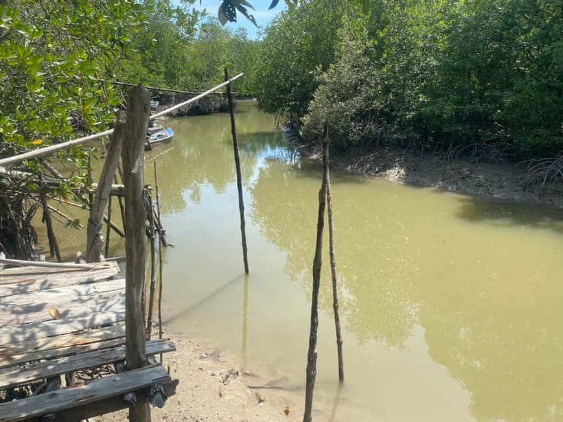 Ko Lanta: Mangrove Kayaking, Ko Talabeng, & Skull Island - How hard is the full day?