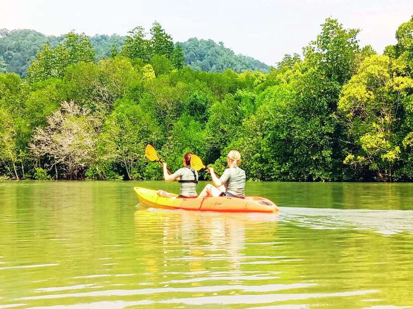 Ko Lanta: Mangrove Kayaking with Lunch and Hotel Transfer - Why Tung Yee Peng feels different from a beach day