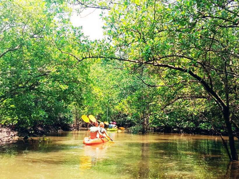 Ko Lanta: Mangrove Kayaking with Lunch and Hotel Transfer - Your morning or afternoon pickup
