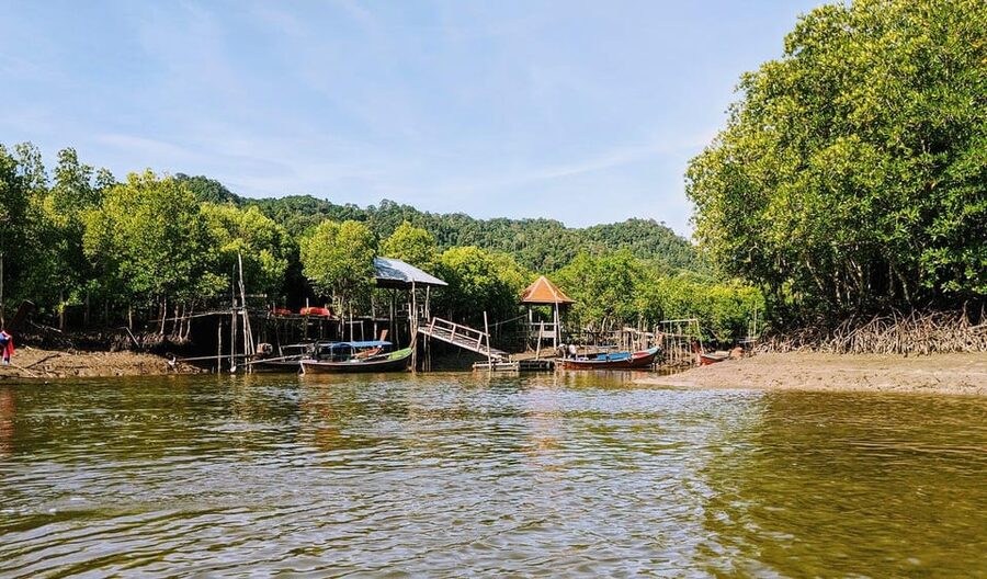 Ko Lanta: Old Town and Mangrove Forest Sightseeing Tour - Why the mangroves are the main event