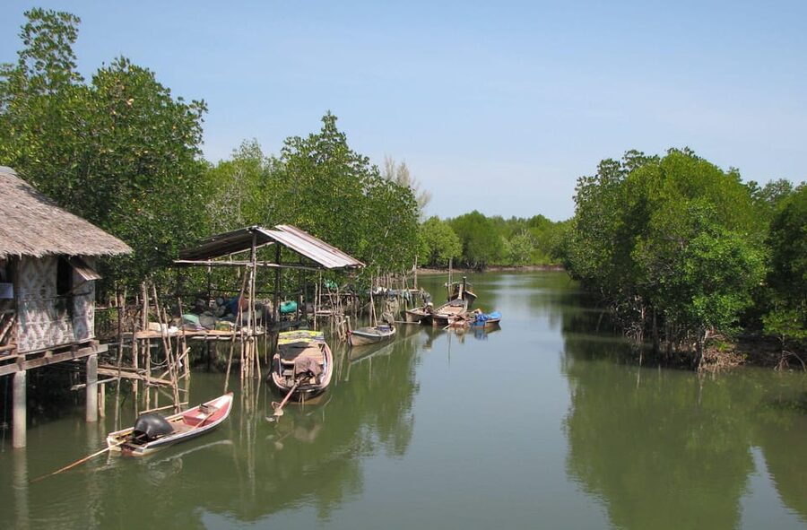Ko Lanta: Old Town and Mangrove Forest Sightseeing Tour - Who will enjoy this five-hour outing