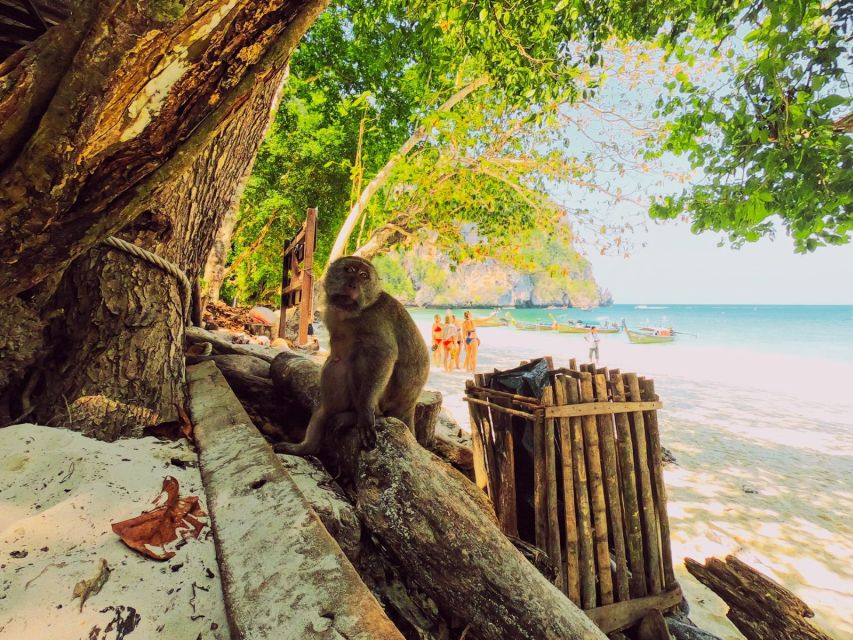 Ko Lanta: Phi Phi Day Trip by Speed Boat - Key points to know before booking
