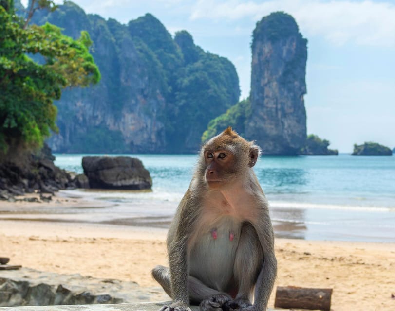 Ko Lanta: Private Exploration– Mangroves, Old Town & Beaches - Is $65 per person good value?