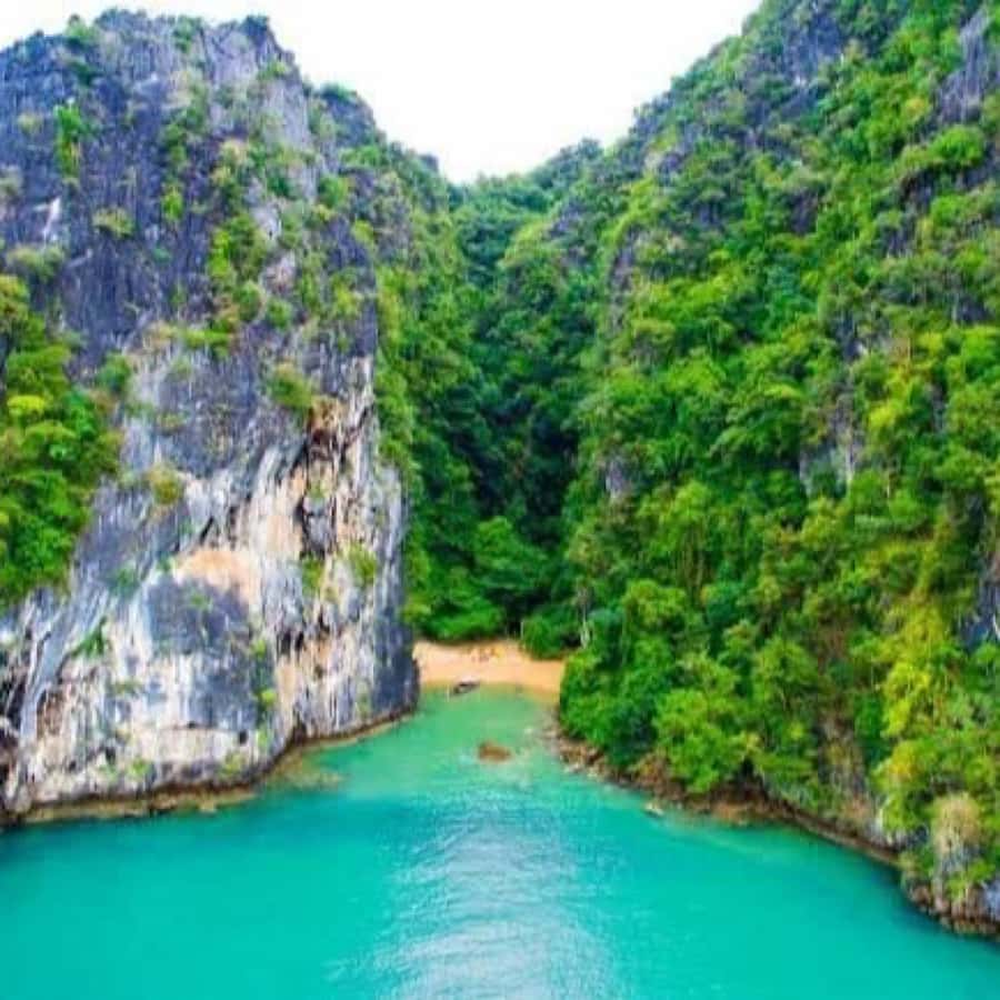 Ko Lanta: Sea Cave Kayaking Adventure Mangrove with Lunch - Lunch in the mangroves at the end of the trip