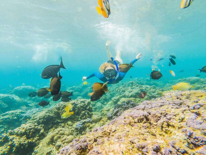 Ko Lanta: Snorkeling Adventure Tour to Koh Rok and Koh Haa - What $52 includes, and what it does not