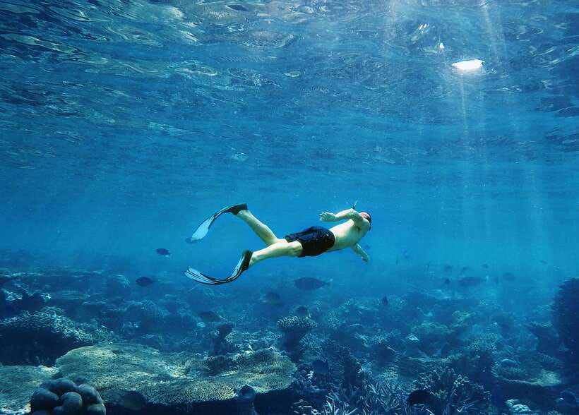Ko Lanta: Snorkeling Adventure Tour to Koh Rok and Koh Haa - From your hotel to Saladan Pier