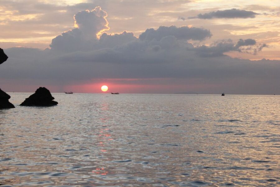Ko Phi Phi Don: Speedboat Day Trip with Shark Snorkeling - How the $48 price measures up