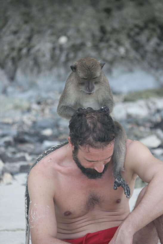 Ko Phi Phi Don: Speedboat Day Trip with Shark Snorkeling - Monkey Beach and the first boat ride