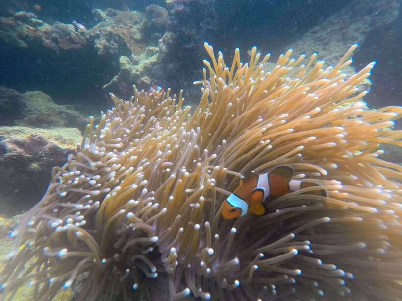 Koh Lanta: 4-Island Adventure Tour to Emerald Cave - The pace is active, not lazy