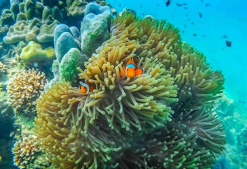 Koh Lanta: 4 Islands and Emerald Cave Snorkeling Trip - What the $55 price includes and leaves out