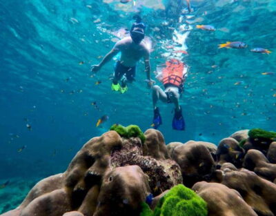 4 Islands, Emerald Cave & Koh Kradan by Speedboat