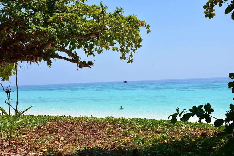 Koh Lanta: Adventure Sea Tour to Koh Rok and Koh Haa - Snorkeling Koh Rok’s twin islands