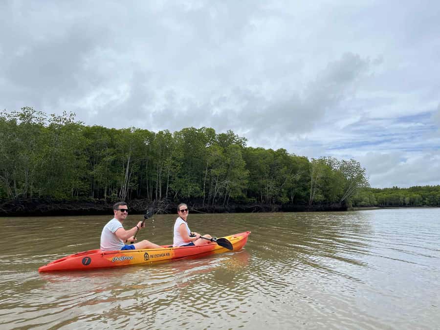 Koh Lanta: Amazon Mangrove Kayaking Tour With Lunch - Should you book the Koh Lanta mangrove kayak tour?