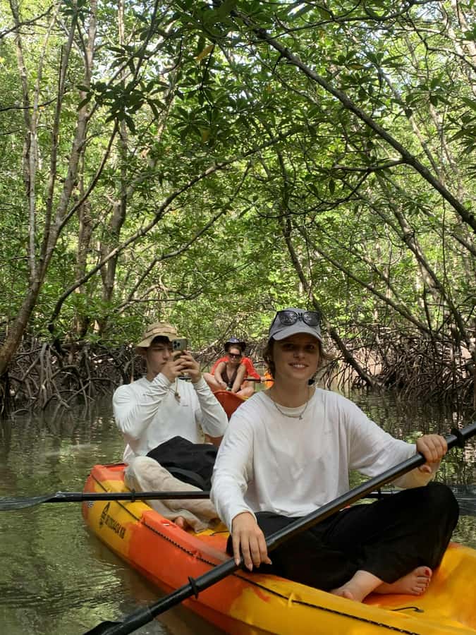 Koh Lanta: Amazon Mangrove Kayaking Tour With Lunch - Paddling under the mangrove canopy