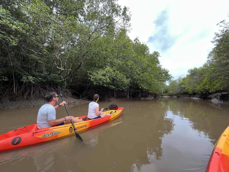 Koh Lanta: Amazon Mangrove Kayaking Tour With Lunch - Pickup in Ko Lanta District and the four-hour format