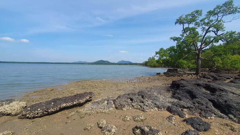 Koh Lanta Cultural Tuk-Tuk Tour: Old Town, Batik & Mangroves - A local driver, not a scripted guide