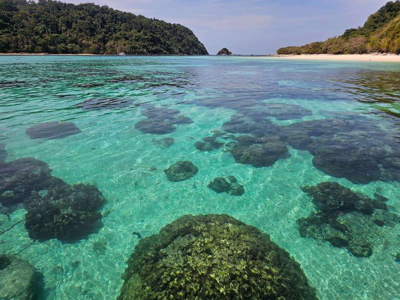 Koh Lanta: Koh Rok and Koh Haa Snorkeling Adventure - Who will enjoy this day most