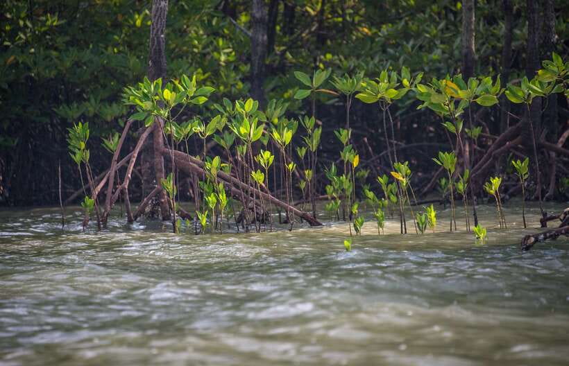 Koh Lanta: Sea Cave Kayaking and Talabeng Island Tour - Who should book this Ko Lanta outing