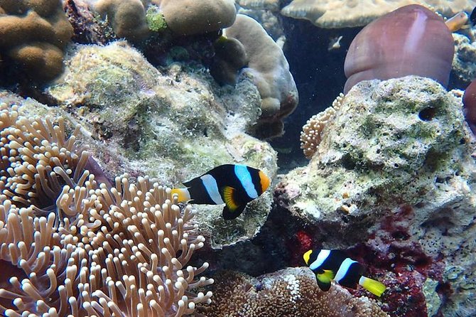 Koh Ngai, Koh Muk + Emerald Cave Snorkeling Tour by Classic Longtail Boat - Koh Muk and the famous Emerald Cave