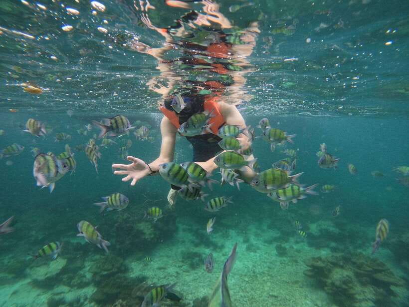 Koh Phi Phi: Early Morning Maya Bay, Bamboo Speedboat Tour - Bamboo Island is worth the longer option