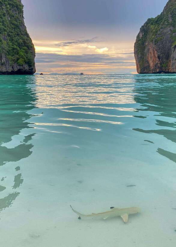 Koh Phi Phi: Maya Bay Private Longtail Boat Tour - Why a private boat changes the day