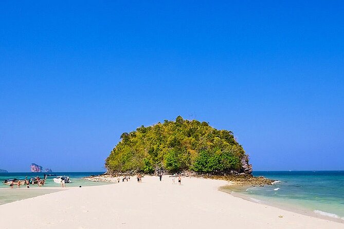 Krabi 7 Islands Snorkeling Sunset and Bioluminescence with dinner - Looking for Bioluminescence After Dark
