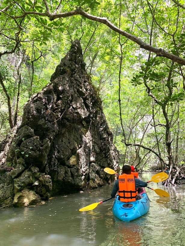 Krabi: A Kayaking Odyssey through Din Daeng Mangrove Maze - Who will enjoy this Krabi kayak trip most