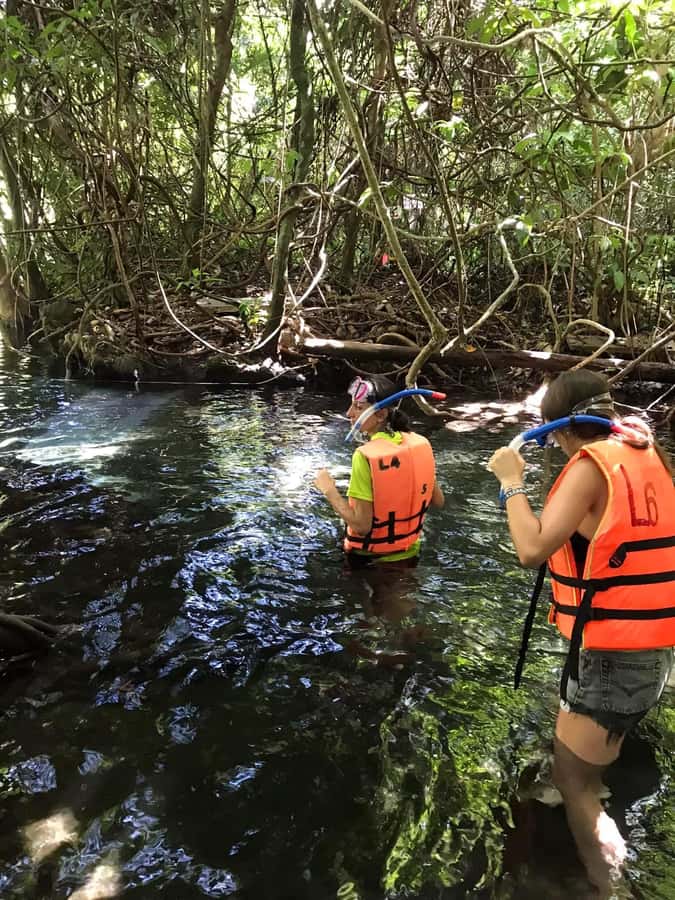 Krabi: Amazon Klong Srakaew Kayaking With Lunch - Key points to know before you book