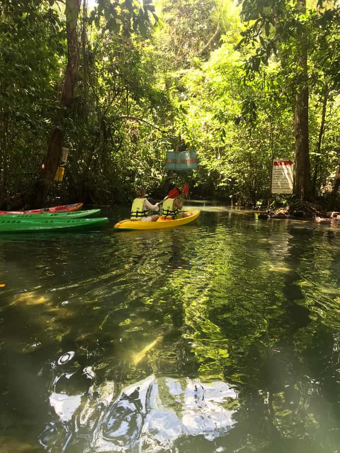 Krabi: Amazon Klong Srakaew Kayaking With Lunch - Reaching Klong Srakaew Canal from Krabi