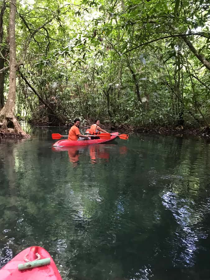 Krabi: Amazon Klong Srakaew Kayaking With Lunch - Who will enjoy this Krabi outing