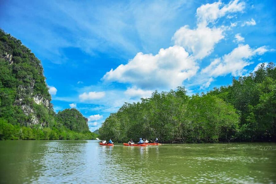 Krabi: Ao Thalane Mangrove Kayaking with Extras - Why Ao Thalane is a better kayak setting than open sea