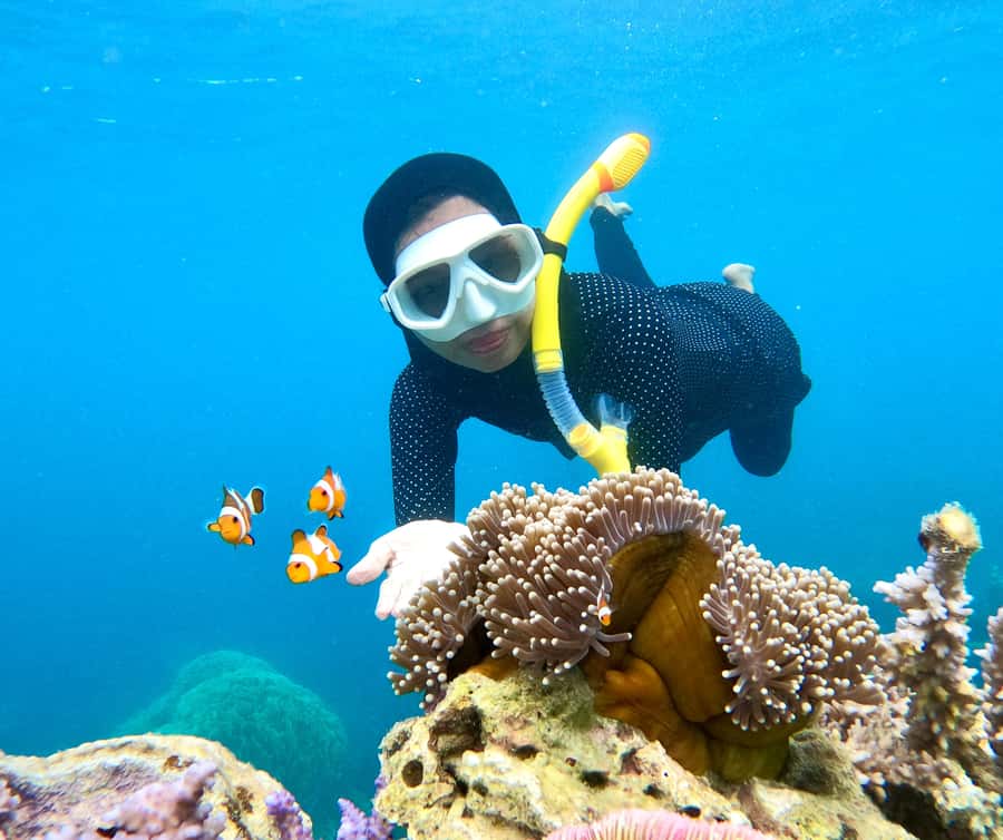Krabi: Bioluminescent Plankton, Snorkeling & Sunset Tour - Pickup Times and What to Pack
