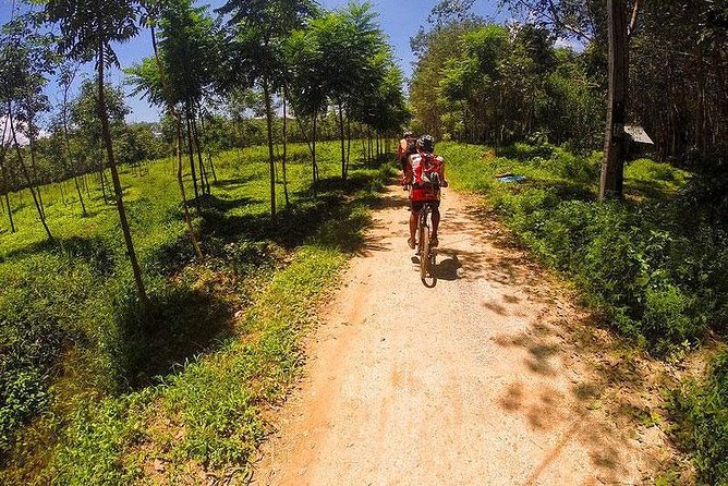 Krabi Countryside Eco Cycling Tour - Multiple Trails - Forest trails and a close look at wildlife