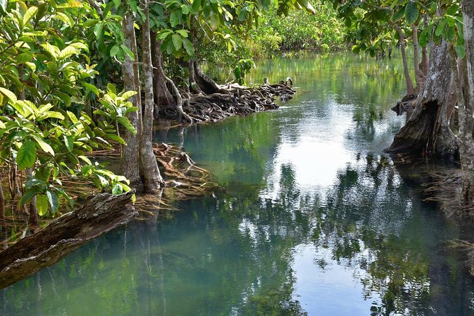 Krabi Countryside Eco Cycling Tour - Multiple Trails - Lunch, rest stops, and staying comfortable