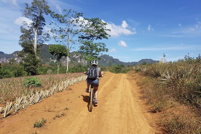 Krabi Countryside Eco Cycling Tour - Multiple Trails - Fishing villages, plantations, and limestone country