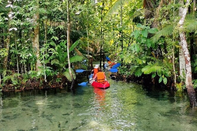 Krabi Crystal Lagoon Kayaking Experience - Guides, language, and the feel of the outing