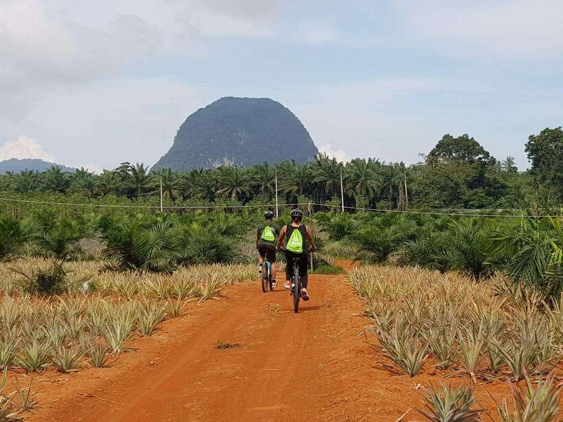 Krabi: Eco-Cycling Tour with Nature, Culture, and Fun - Quiet roads, rainforest, and limestone country