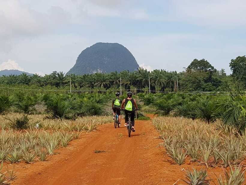 Krabi: Eco-Cycling Tour with Nature, Culture, and Fun - Food, water, and the value of the $58 price